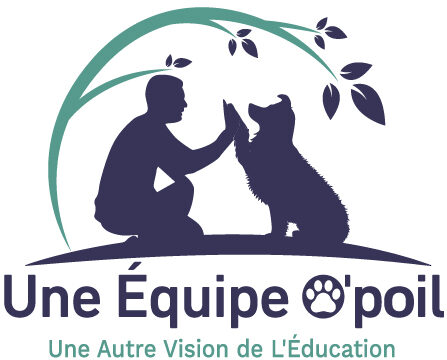 Une équipe O'poil